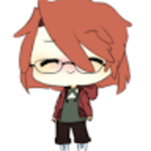 Meet your Posher, American kestrel - Picture 1 of 1